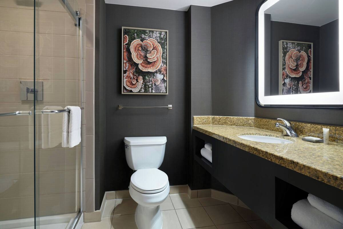 free toiletries, hair dryer, towels