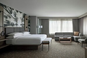 Concierge Room, Room, 1 King Bed