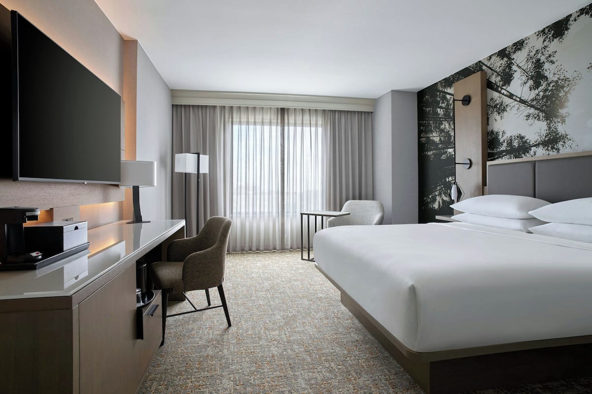 Room, 1 King Bed
