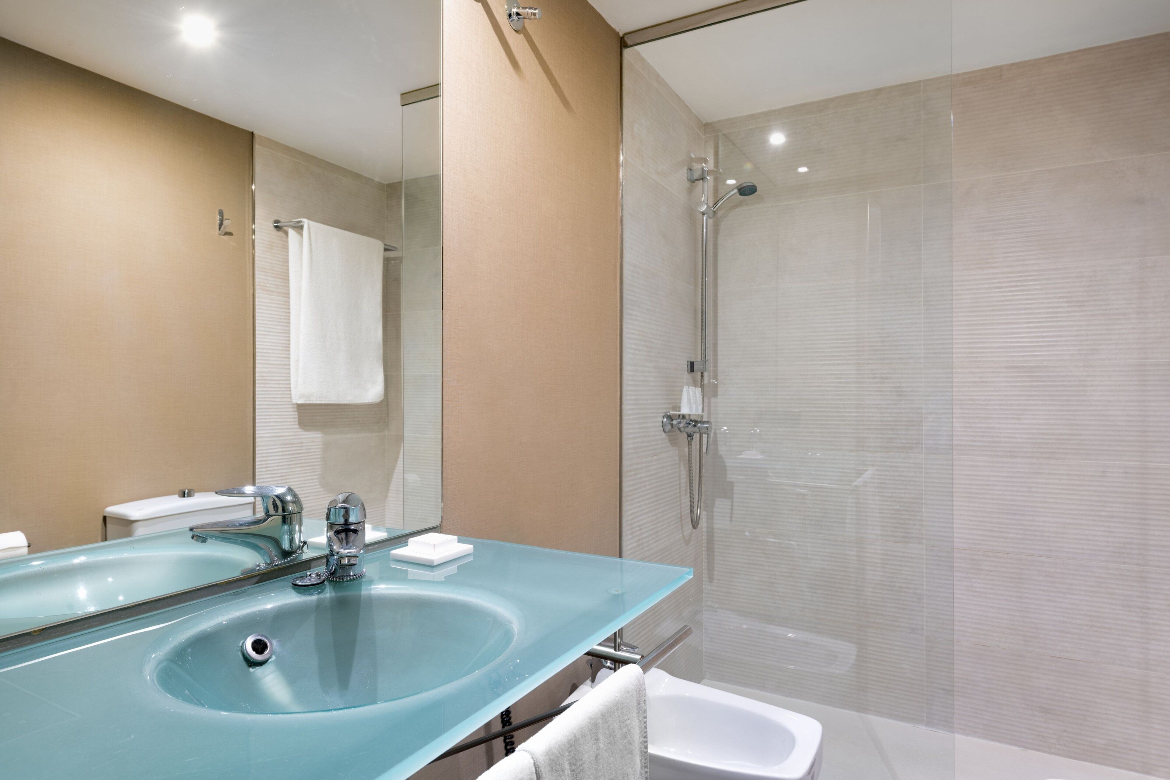 standard room, 1 queen bed | bathroom | separate bathtub and shower, designer toiletries, hair dryer, towels