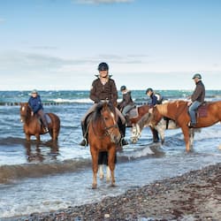 Horses ride along the beach, where riders can enjoy the ocean views and scenic shoreline.