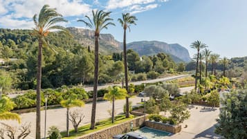 A parking area with several cars, surrounded by palm trees and a mountainous landscape in the background.