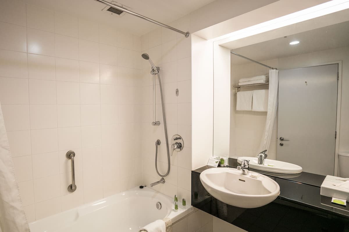 combined shower/bathtub, free toiletries, hair dryer, towels