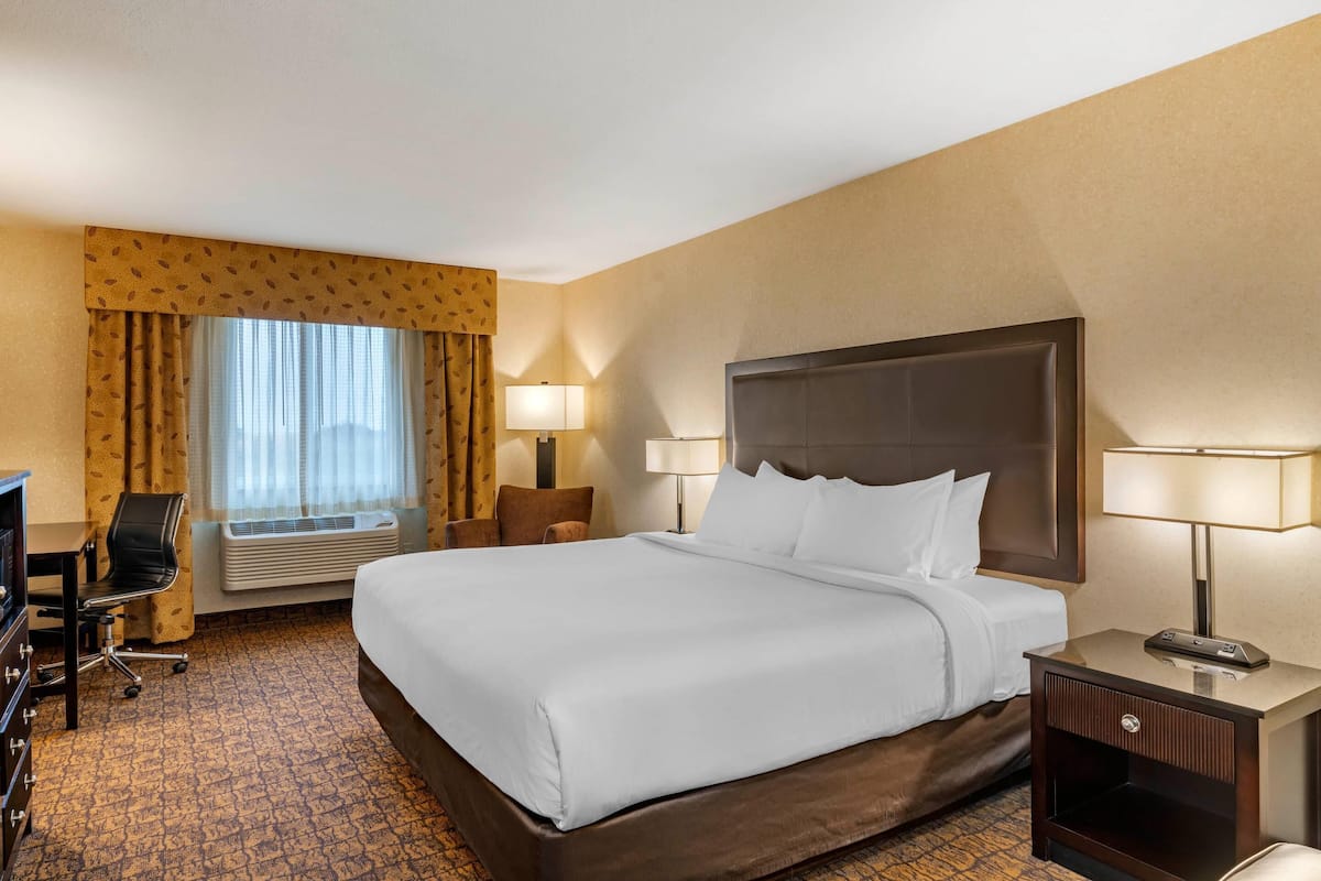 Standard Room, 1 King Bed, Non Smoking | Desk, laptop workspace, blackout drapes, iron/ironing board