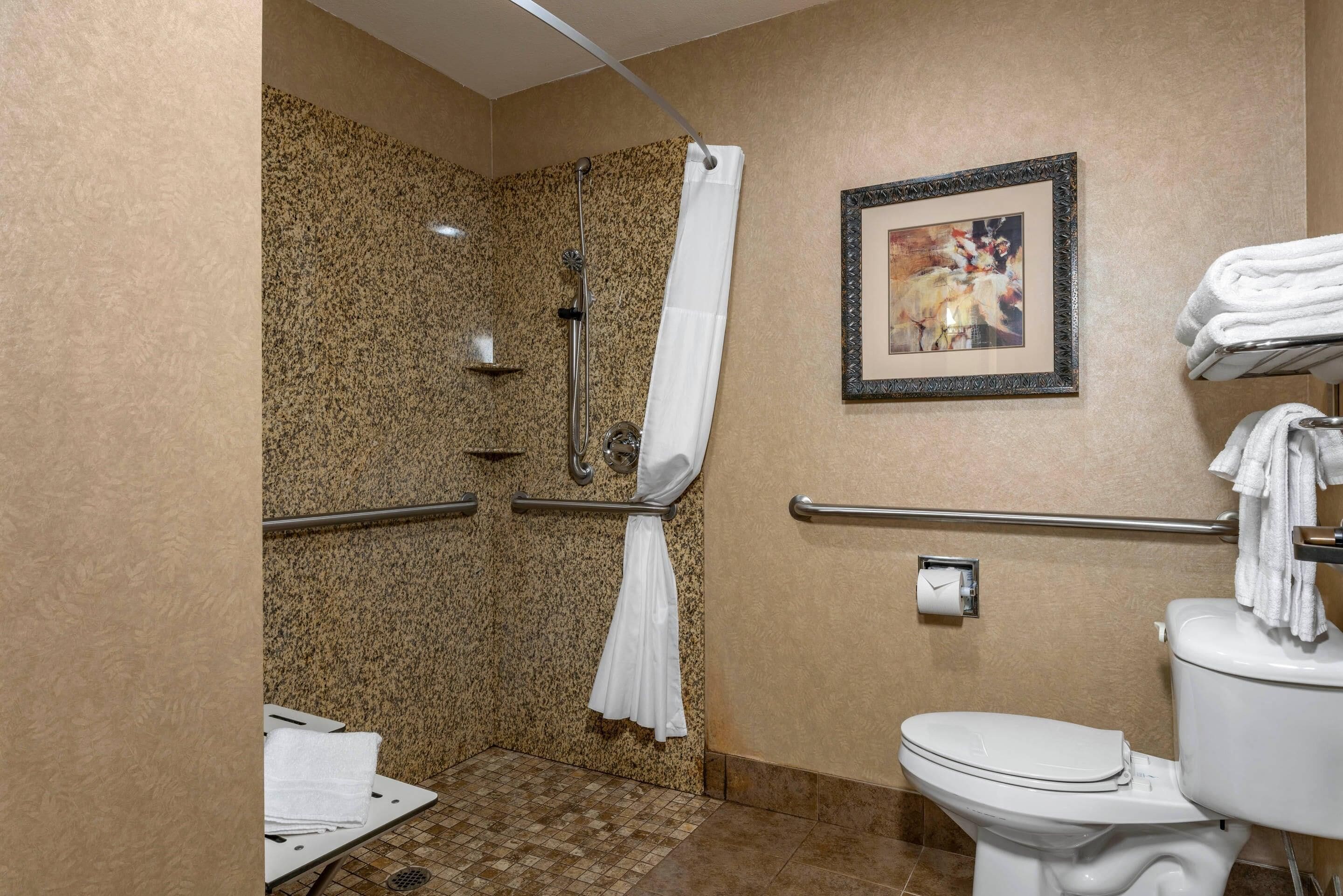 A bathroom with a shower, toilet, and handrails.