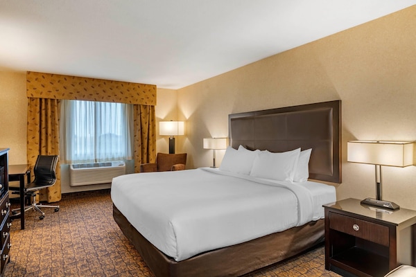 Standard Room, 1 King Bed, Non Smoking | Desk, laptop workspace, blackout drapes, iron/ironing board