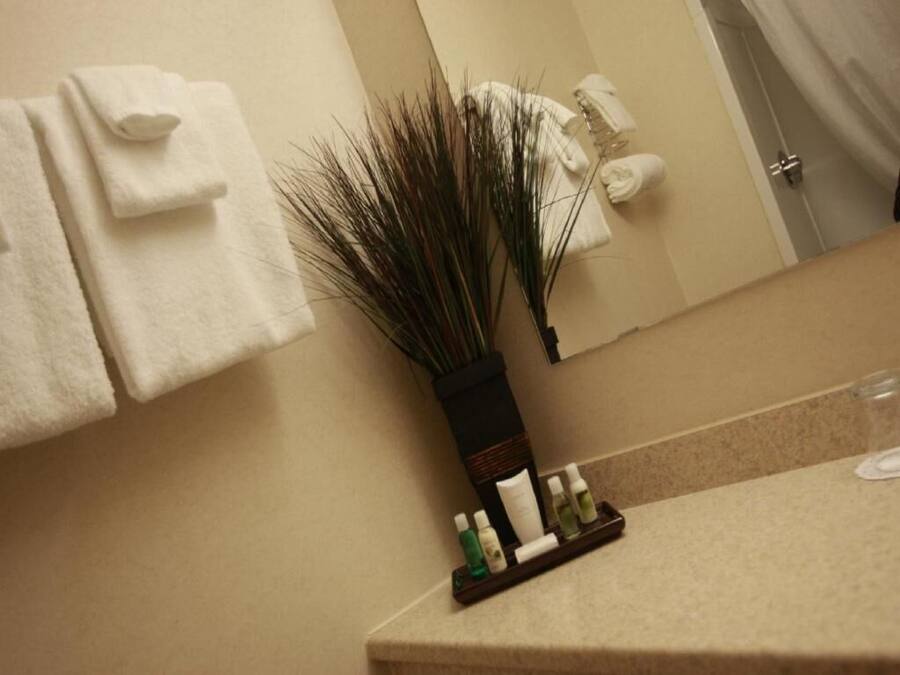 A bathroom with a mirror, towels, a plant, and toiletries on the counter.