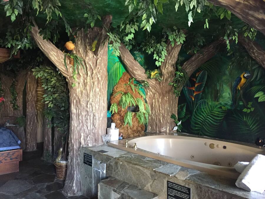 Un área de spa con bañera de hidromasaje, escalones de piedra y follaje artificial.