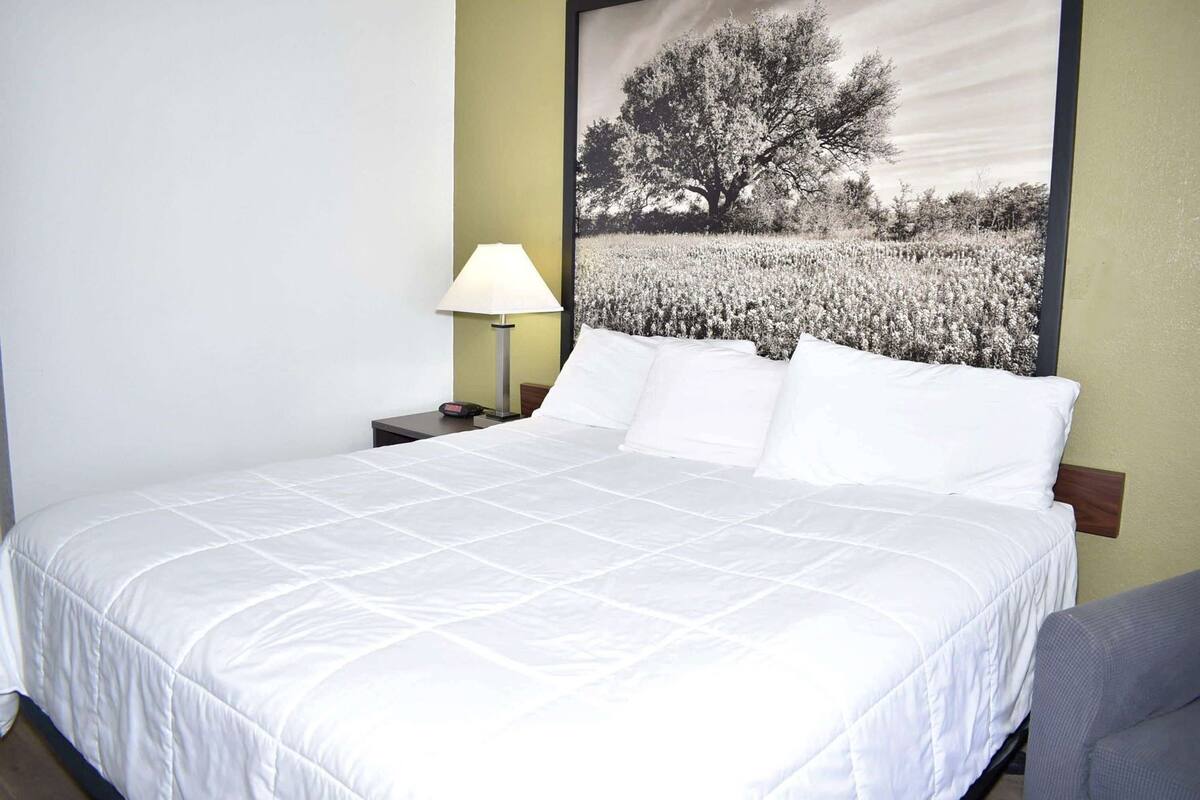 A hotel room with a large bed, a nightstand with a lamp, and a wall-mounted picture of a tree.