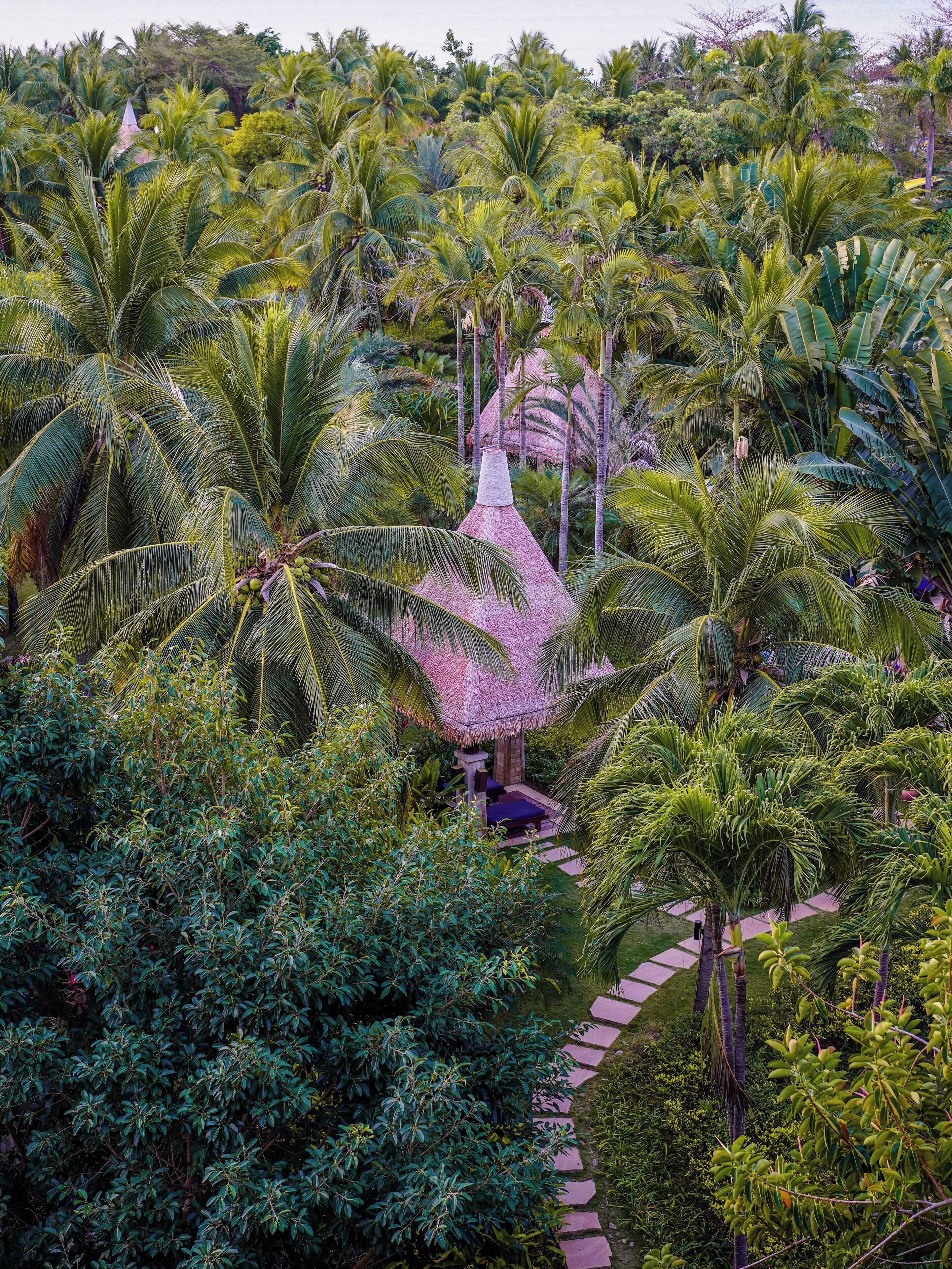 Un jardin tropical luxuriant, agrémenté d’un belvédère à toit de chaume et d’un chemin pavé.