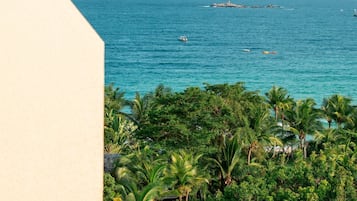 A view of a tropical beach with palm trees and the ocean.