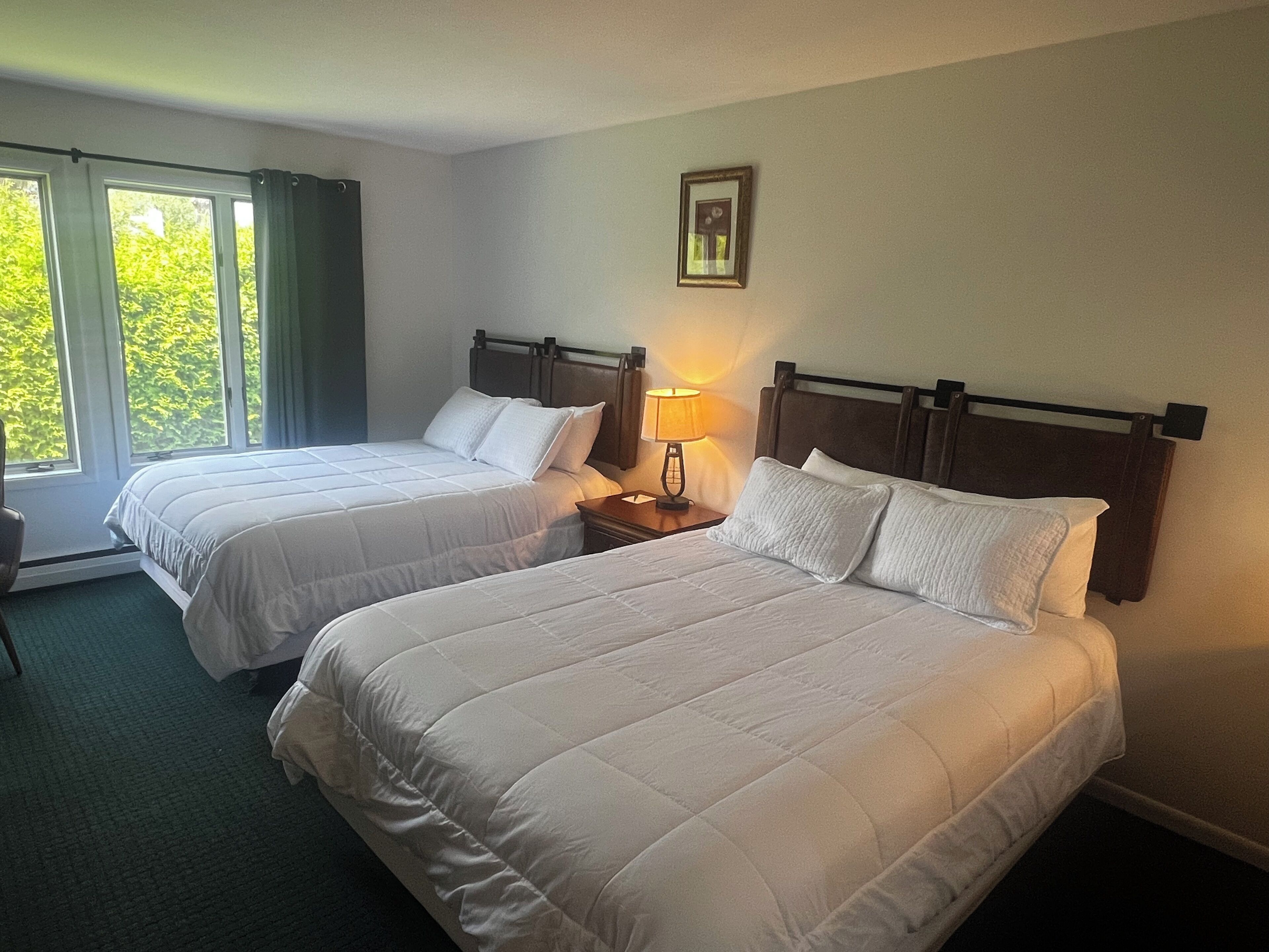 deluxe efficiency, 2 queen beds, fireplace | iron/ironing board, free wifi, bed sheets