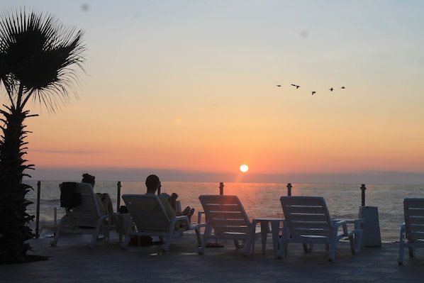 A sunset view from a beachside lounge with lounge chairs and a palm tree. - Hotel Arica (Arica)