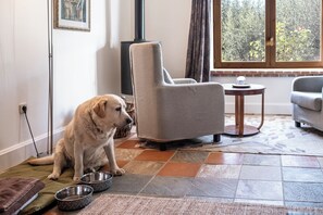 Junior Double Room, Garden View