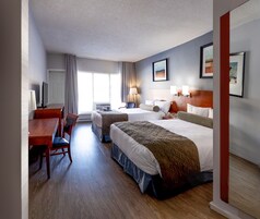 Prémium szoba, 2 kétszemélyes ágy, nemdohányzó | Íróasztal, laptophoz jól használható munkafelület és sötétítőfüggöny