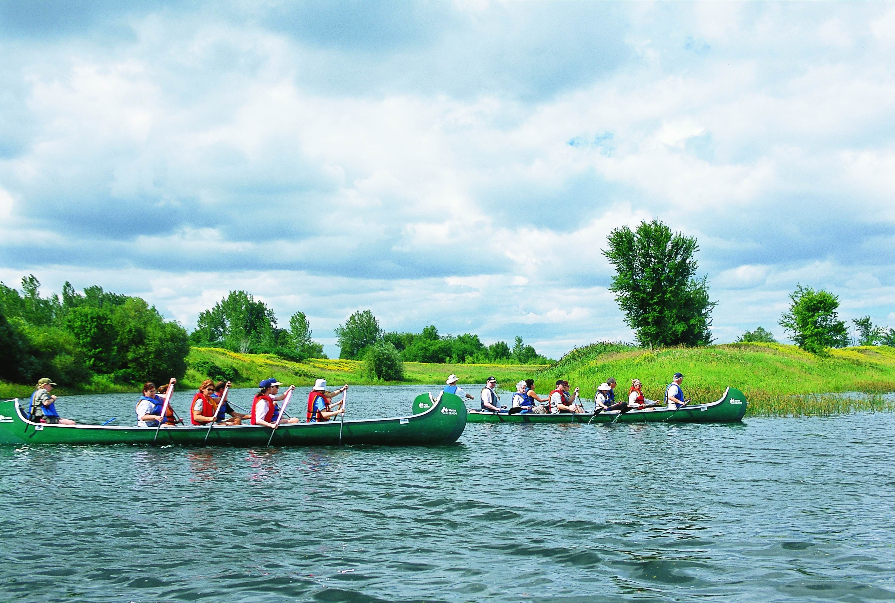 Foto - Auberge Royal Versailles
