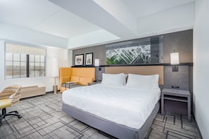 City view - Holiday Inn Lafayette-City Centre by IHG (Lafayette)