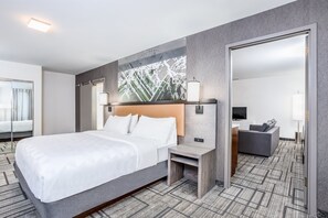 1 bedroom, desk, laptop workspace, blackout curtains