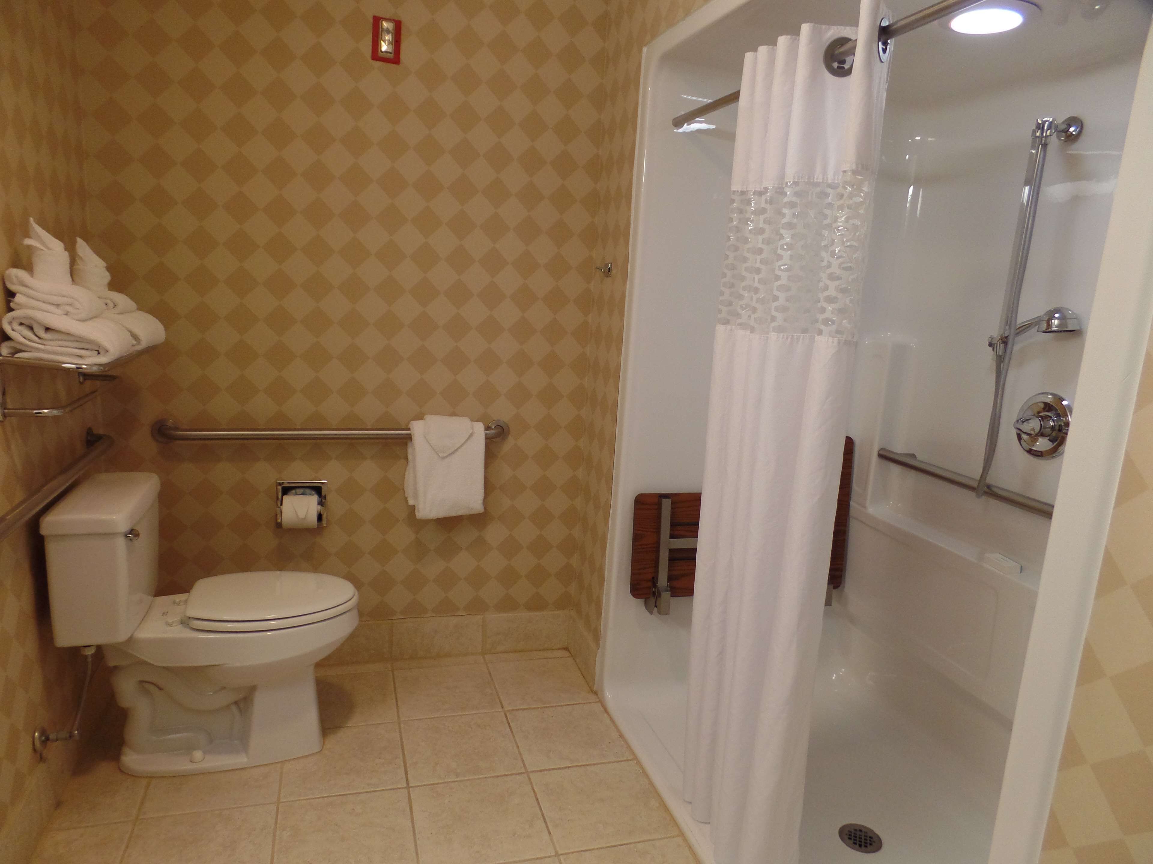 room, 1 king bed, accessible, non smoking | bathroom shower