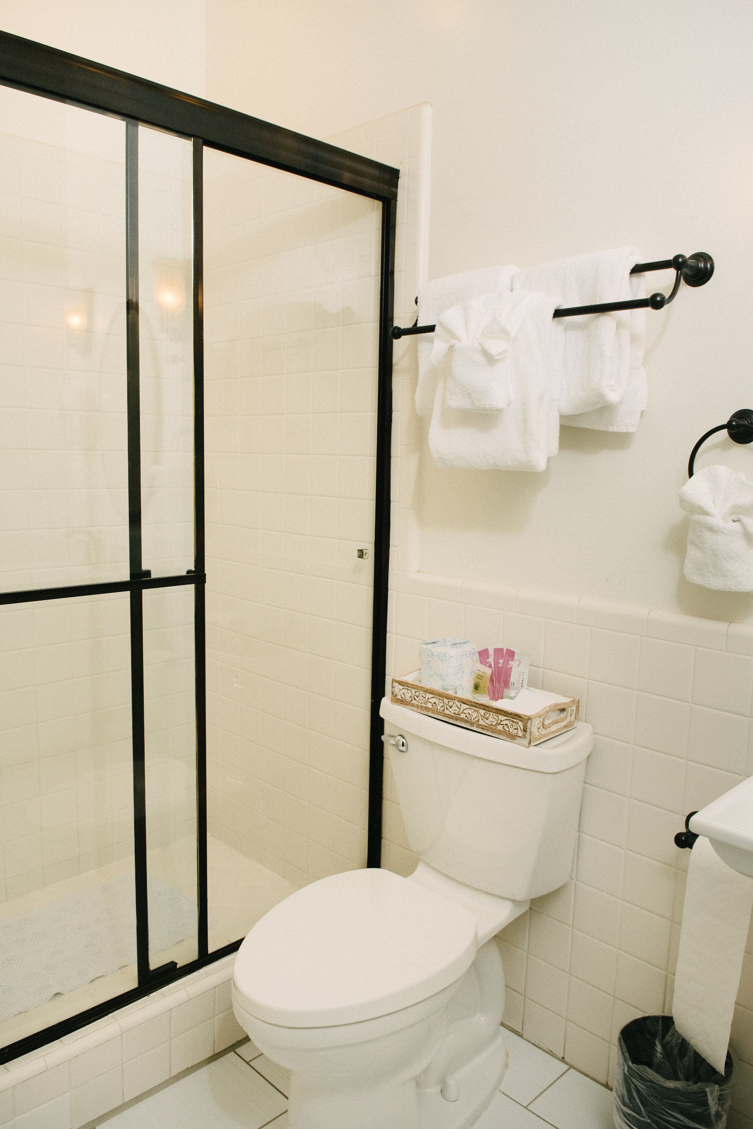 free toiletries, hair dryer, towels