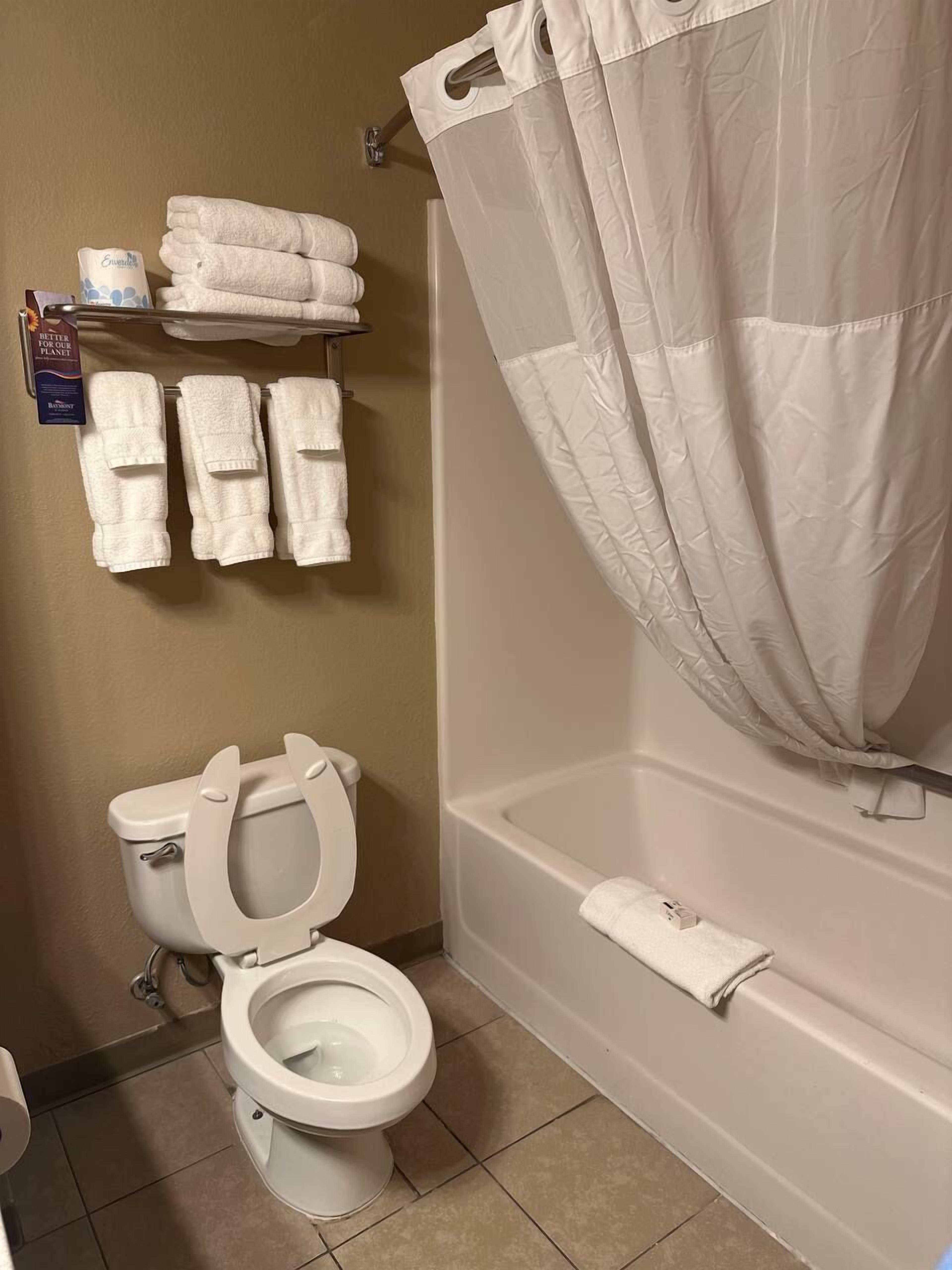 Une salle de bain avec des toilettes, une baignoire et un rideau de douche. Des serviettes sont suspendues sur un porte-serviettes et une boîte de papier toilette est fixée au mur.