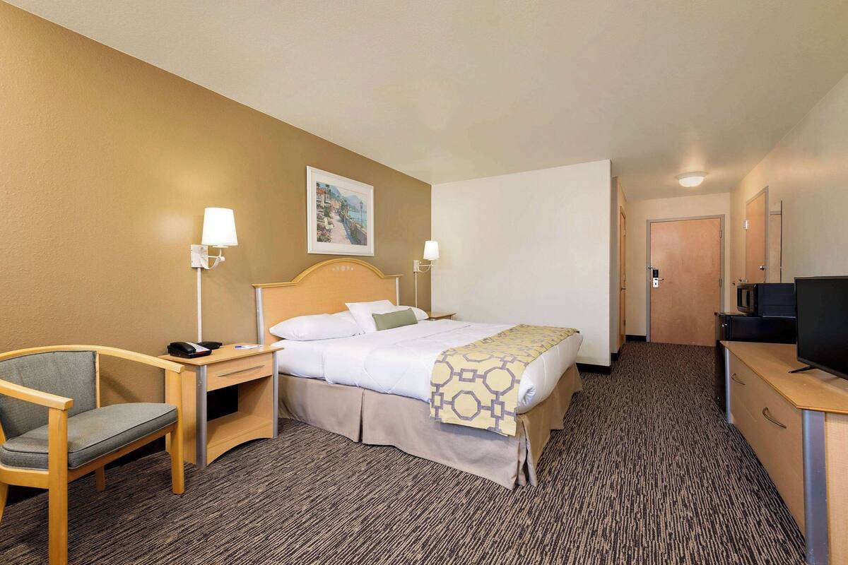 Une chambre d’hôtel avec un lit, un bureau, une chaise, une télévision et une porte.