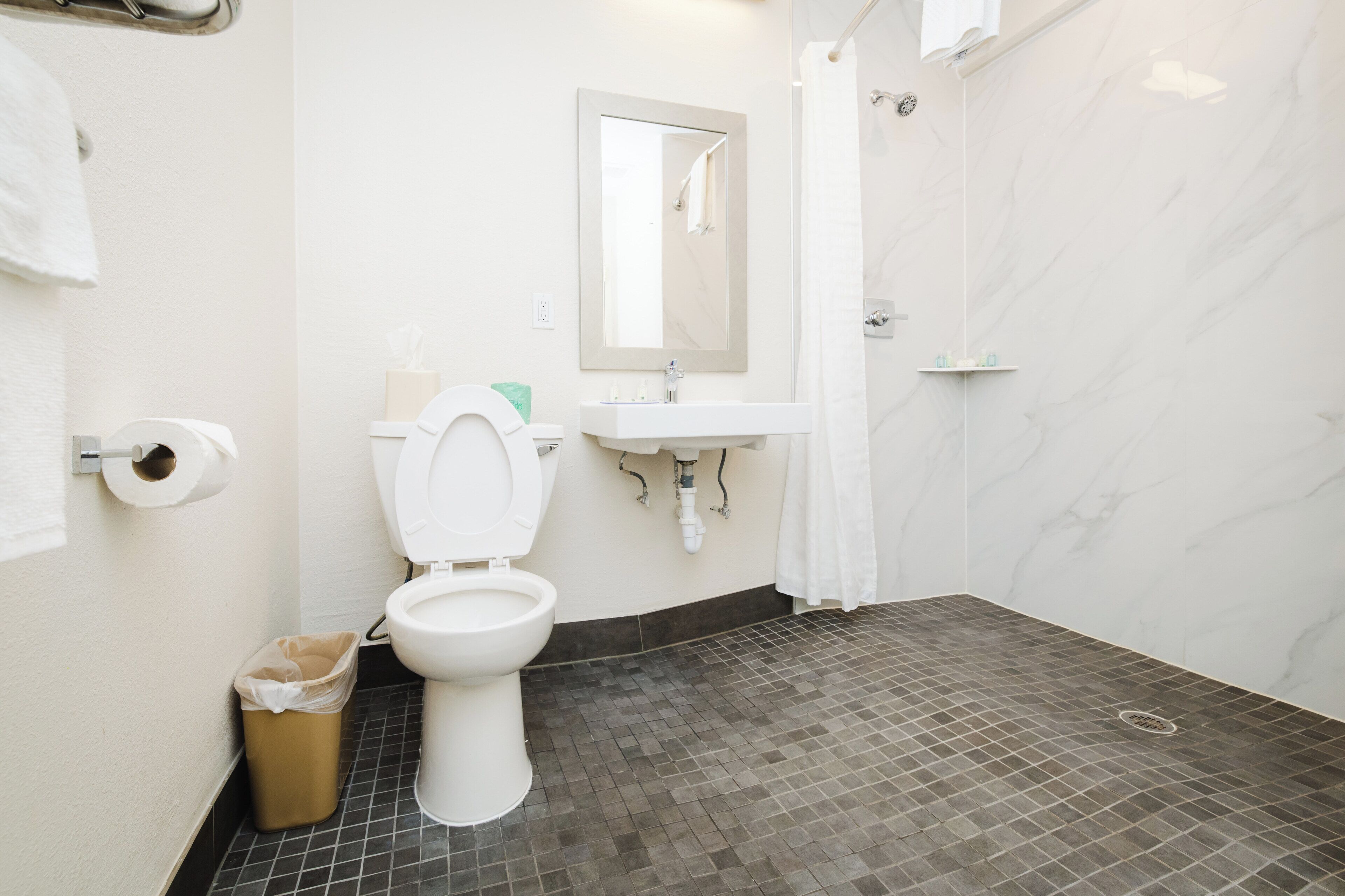 combined shower/bathtub, hair dryer, towels, soap