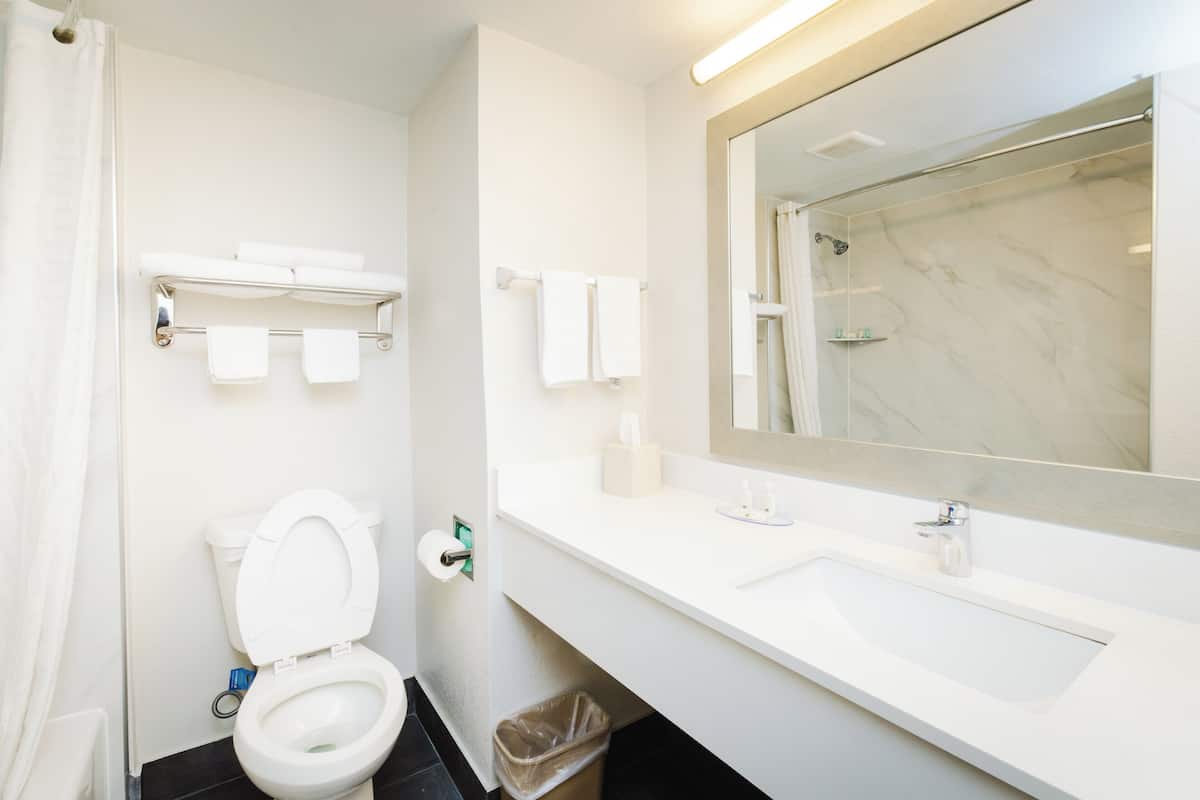 combined shower/bathtub, hair dryer, towels, soap