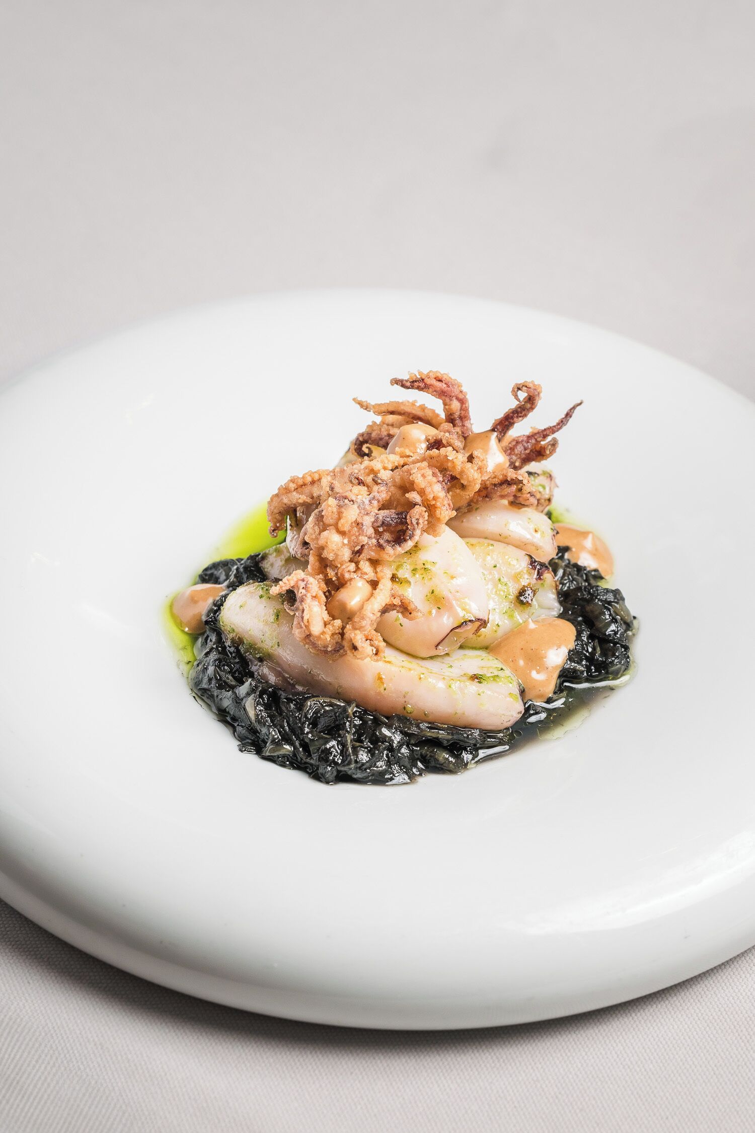 Un plato blanco con un guiso de mariscos, posiblemente pulpo, cubierto con elementos fritos y una salsa verde.