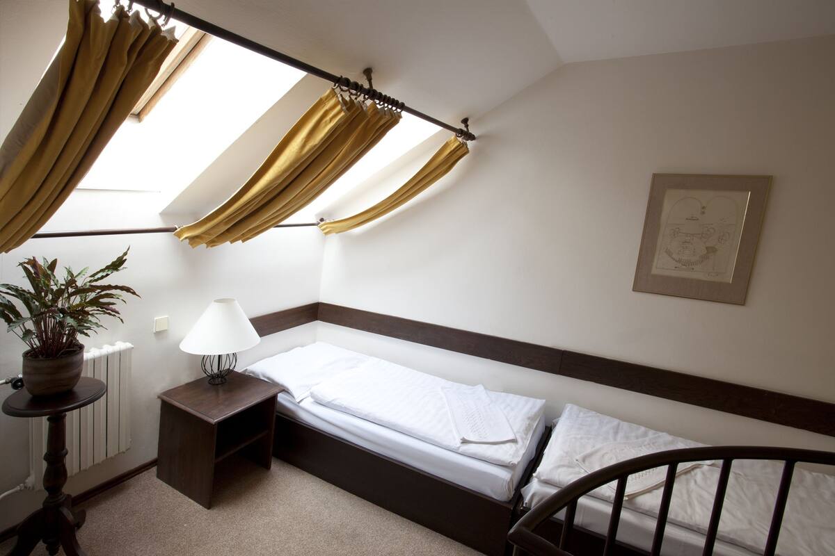 A single bed with a wooden headboard, a bedside table with a lamp, a potted plant, and a framed picture on the wall.