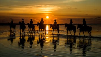 Horseback riding