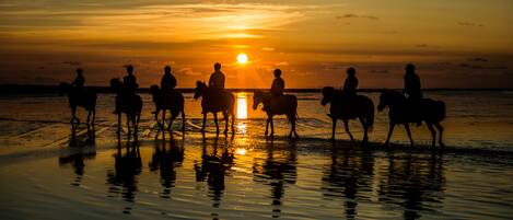 Horseback riding