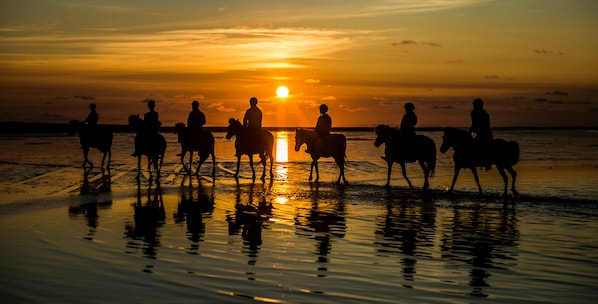 Horse riding