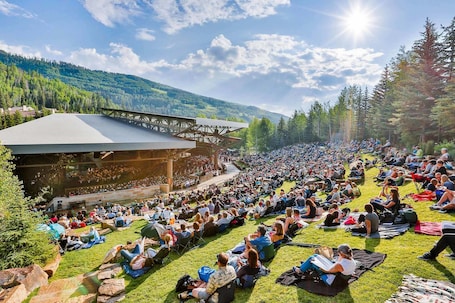 Diseño del edificio. Vail's Mountain Haus