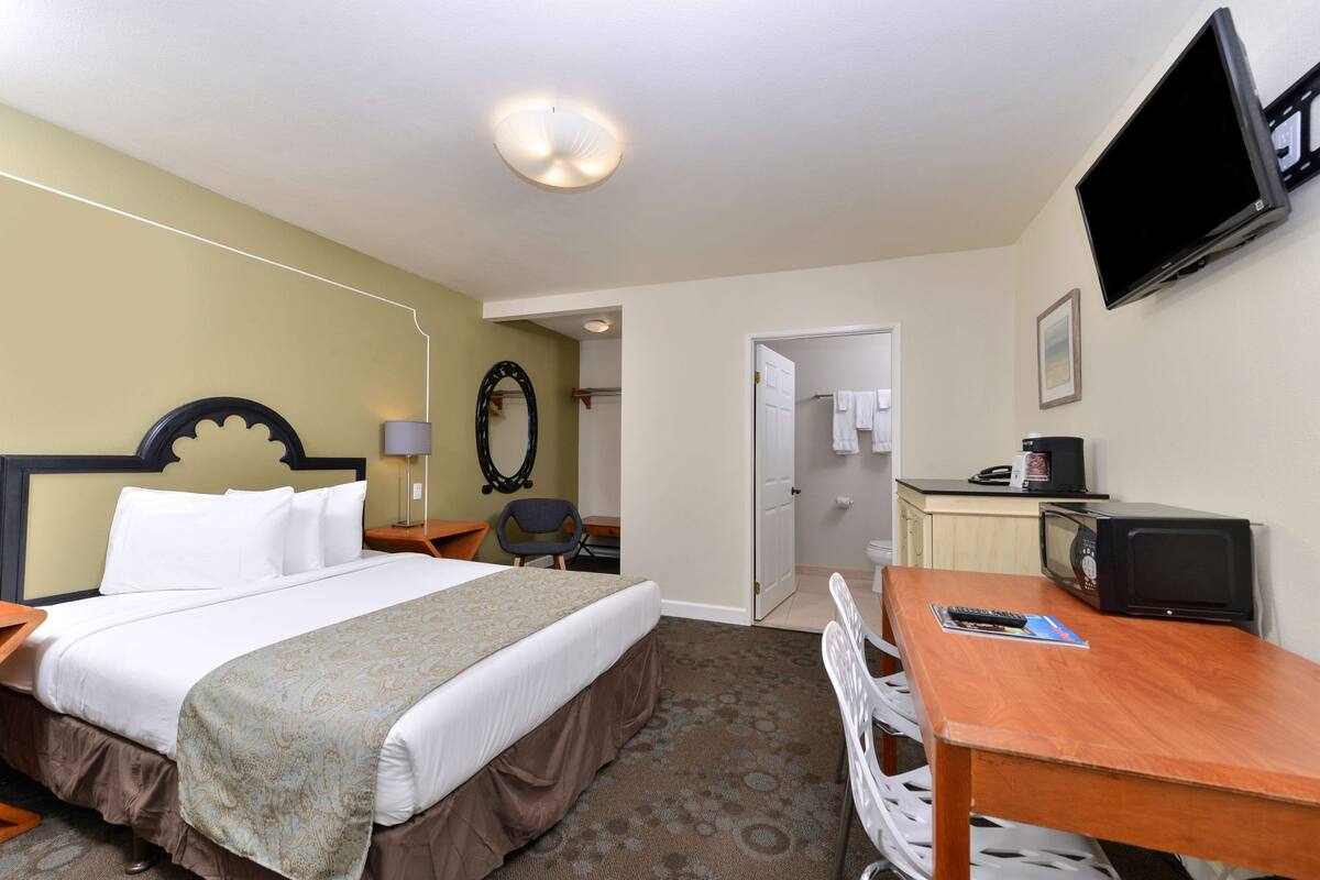 A hotel room with a bed, a desk, a television, and a microwave.