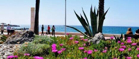 Un jardín frente a la playa con flores rosadas, palmeras y una vista despejada del océano.