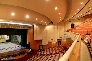 Theater show