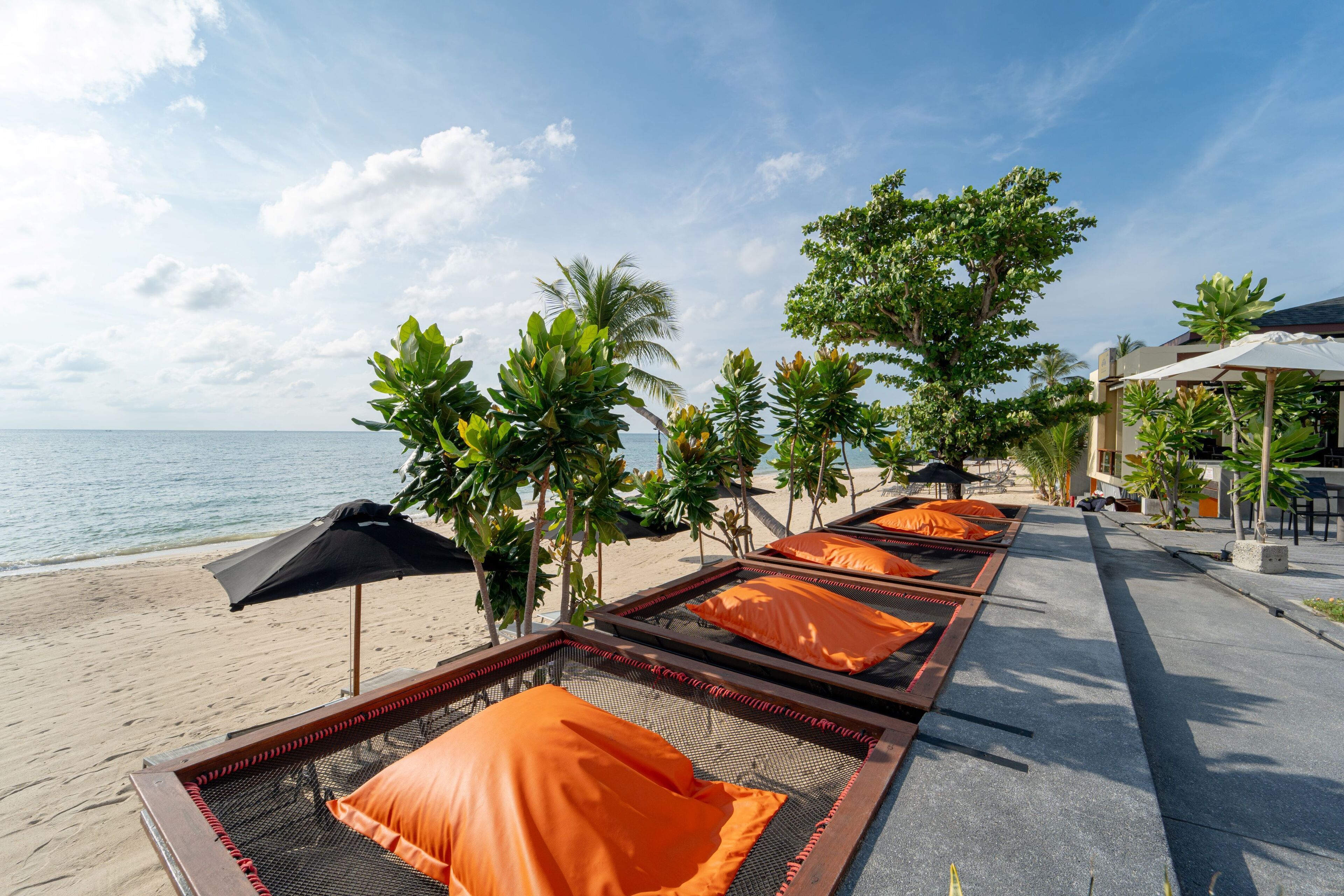 Un espace de détente aménagé sur la plage, avec des chaises longues, des parasols et des palmiers.