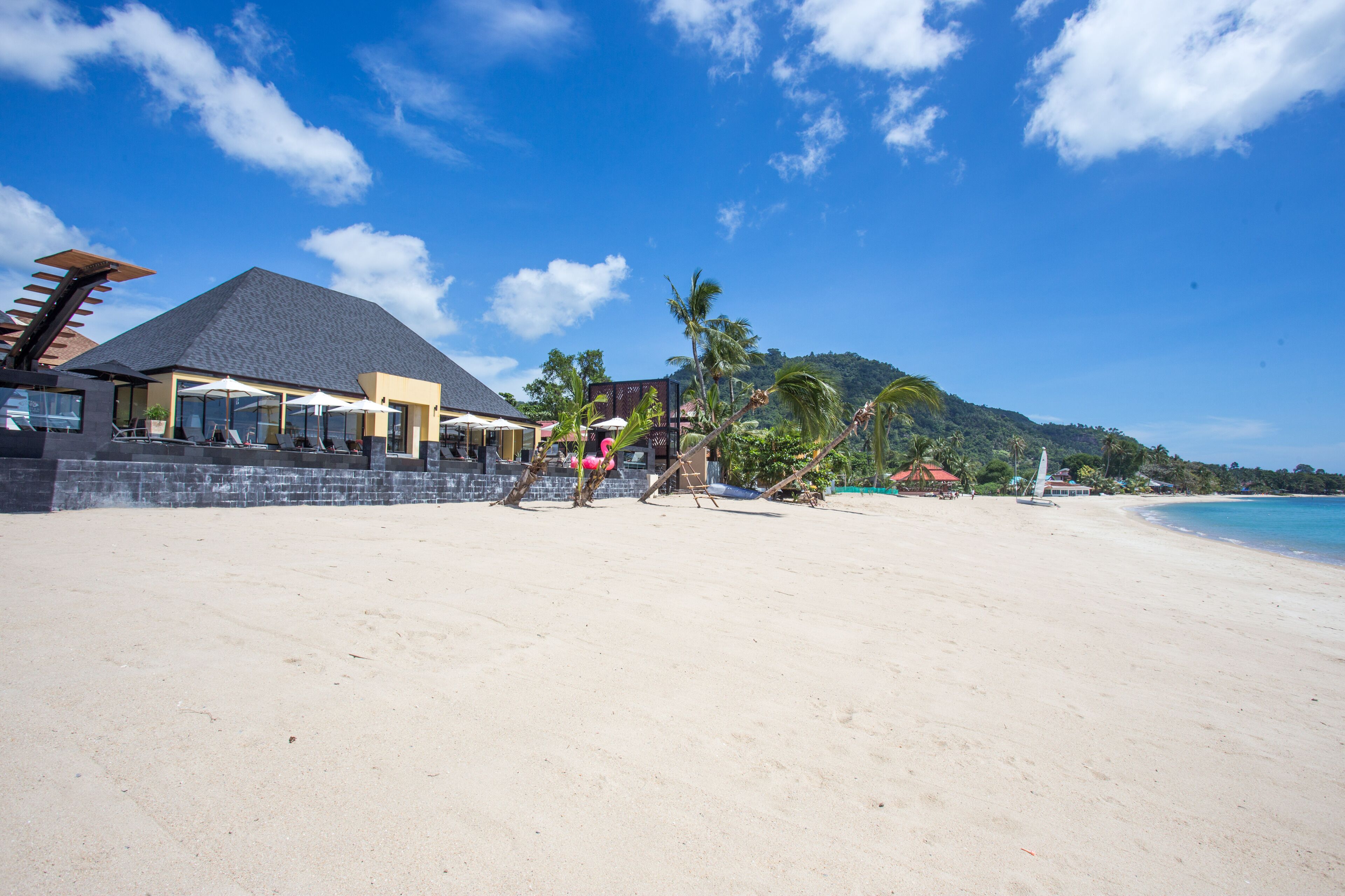 A beachside hotel with a large patio area, palm trees, and a view of the ocean.