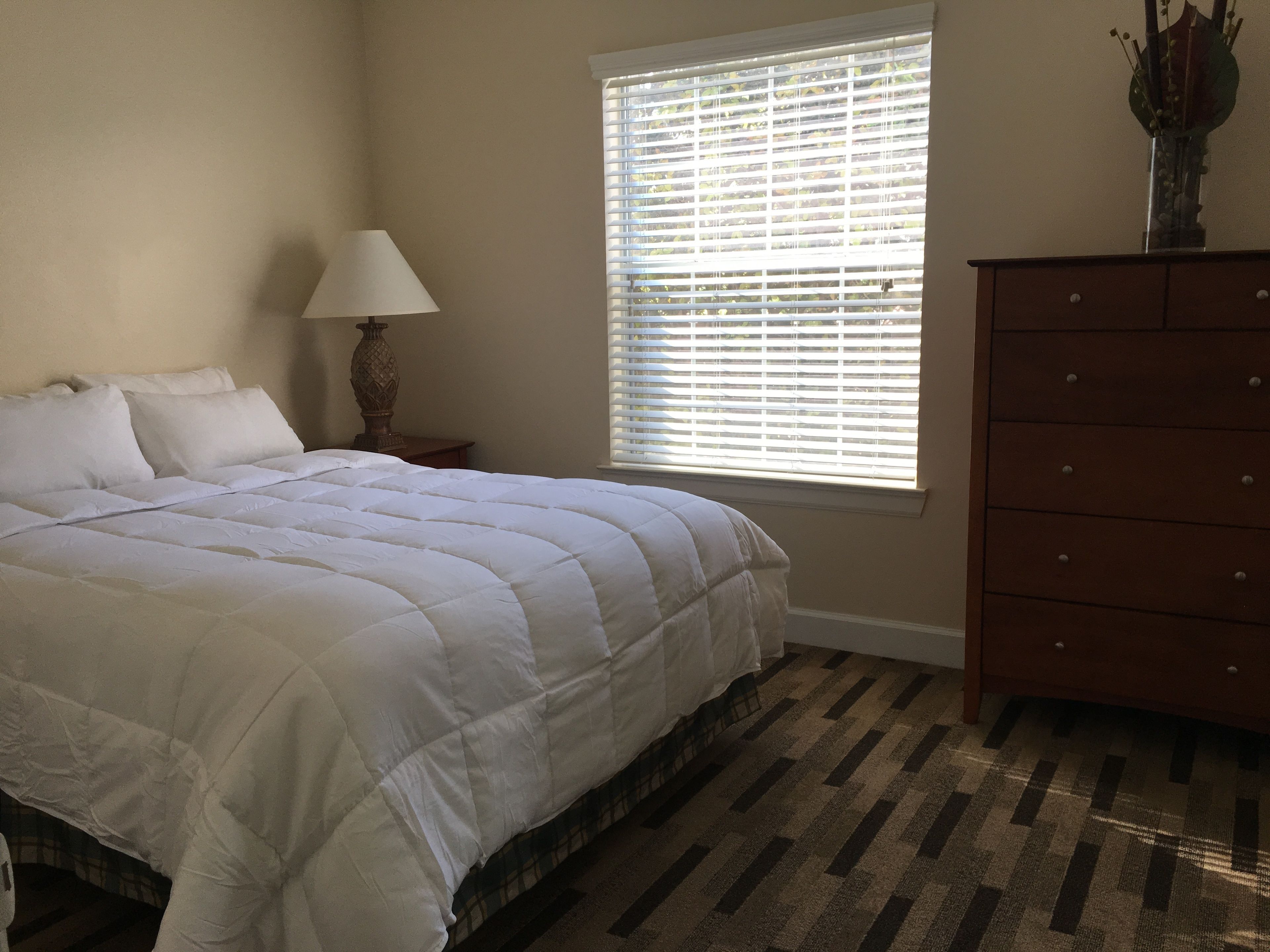 A bedroom with a bed, a nightstand, a dresser, and a window with blinds.