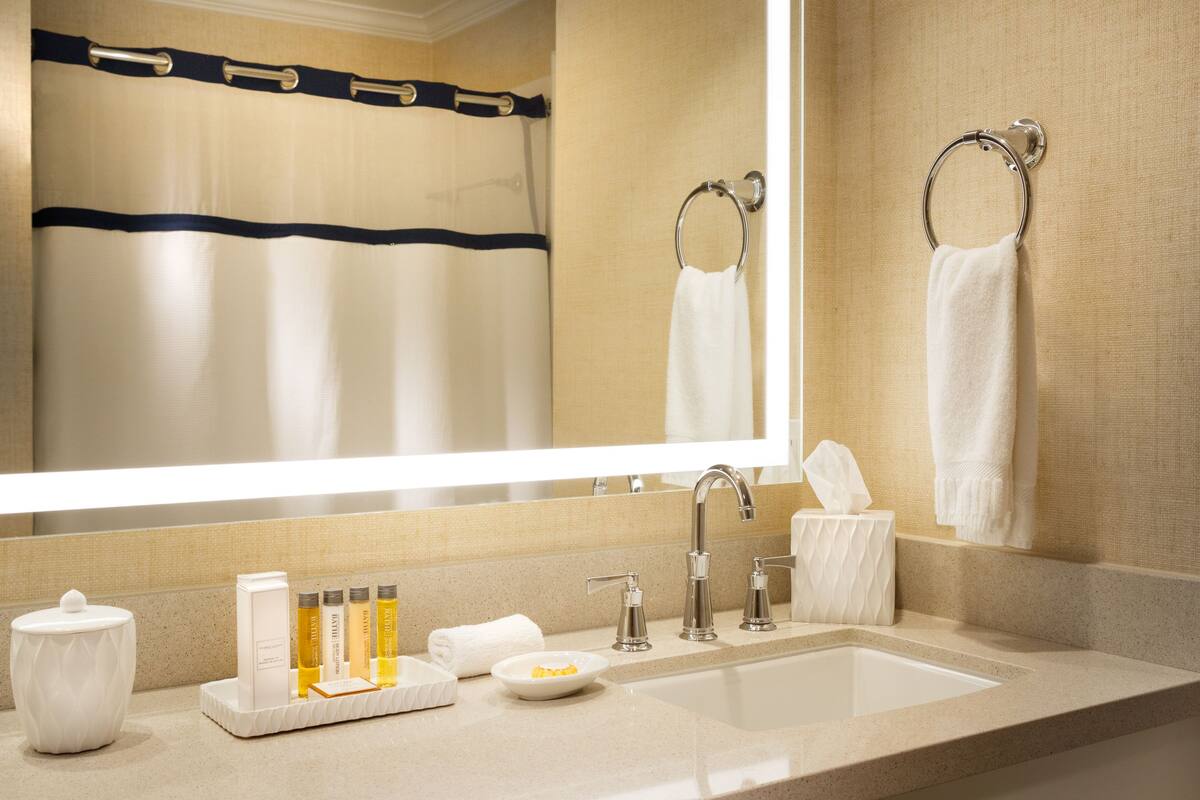 combined shower/bathtub, free toiletries, hair dryer, towels