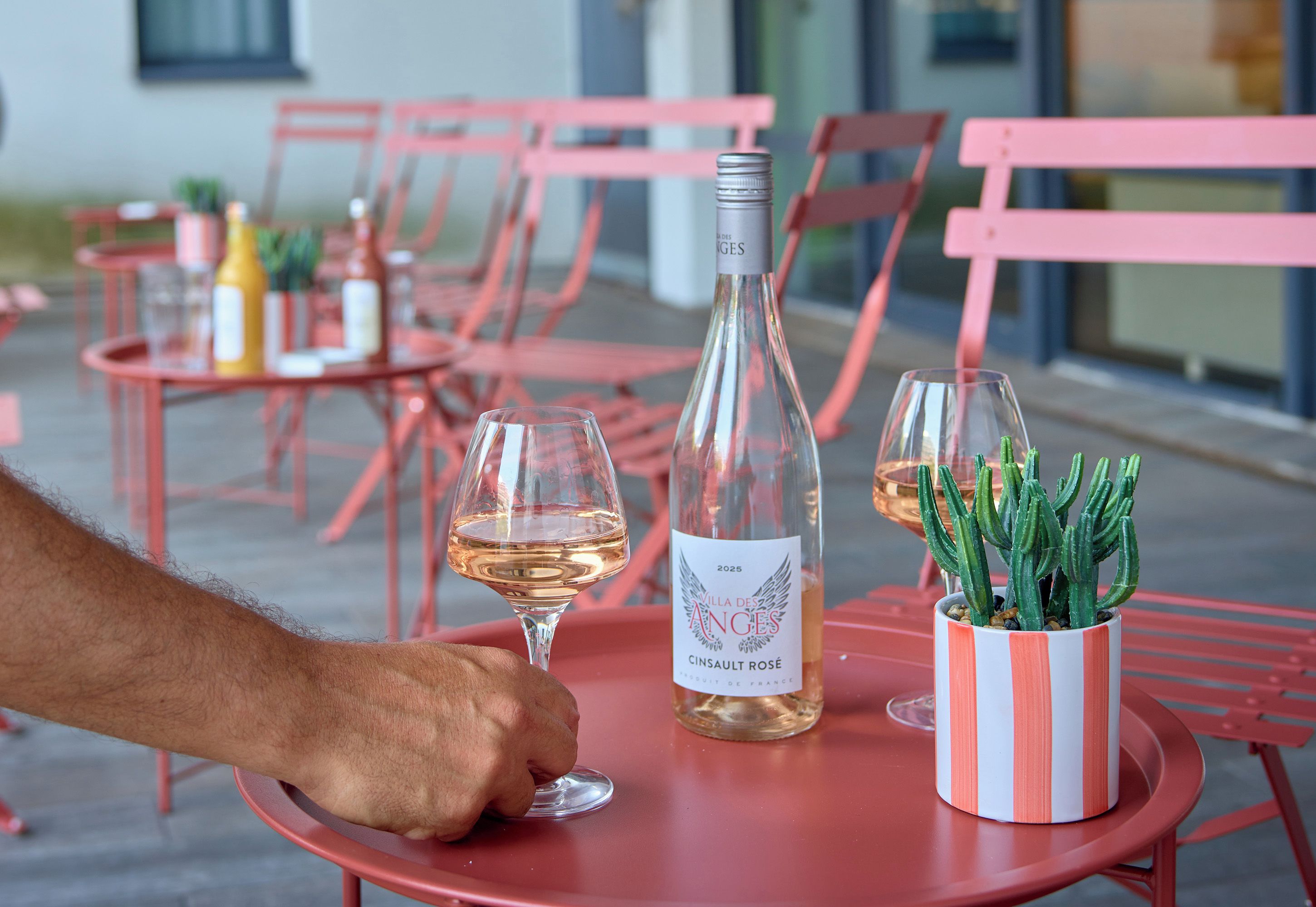 Una mesa con una botella de vino, copas y una planta de cactus.