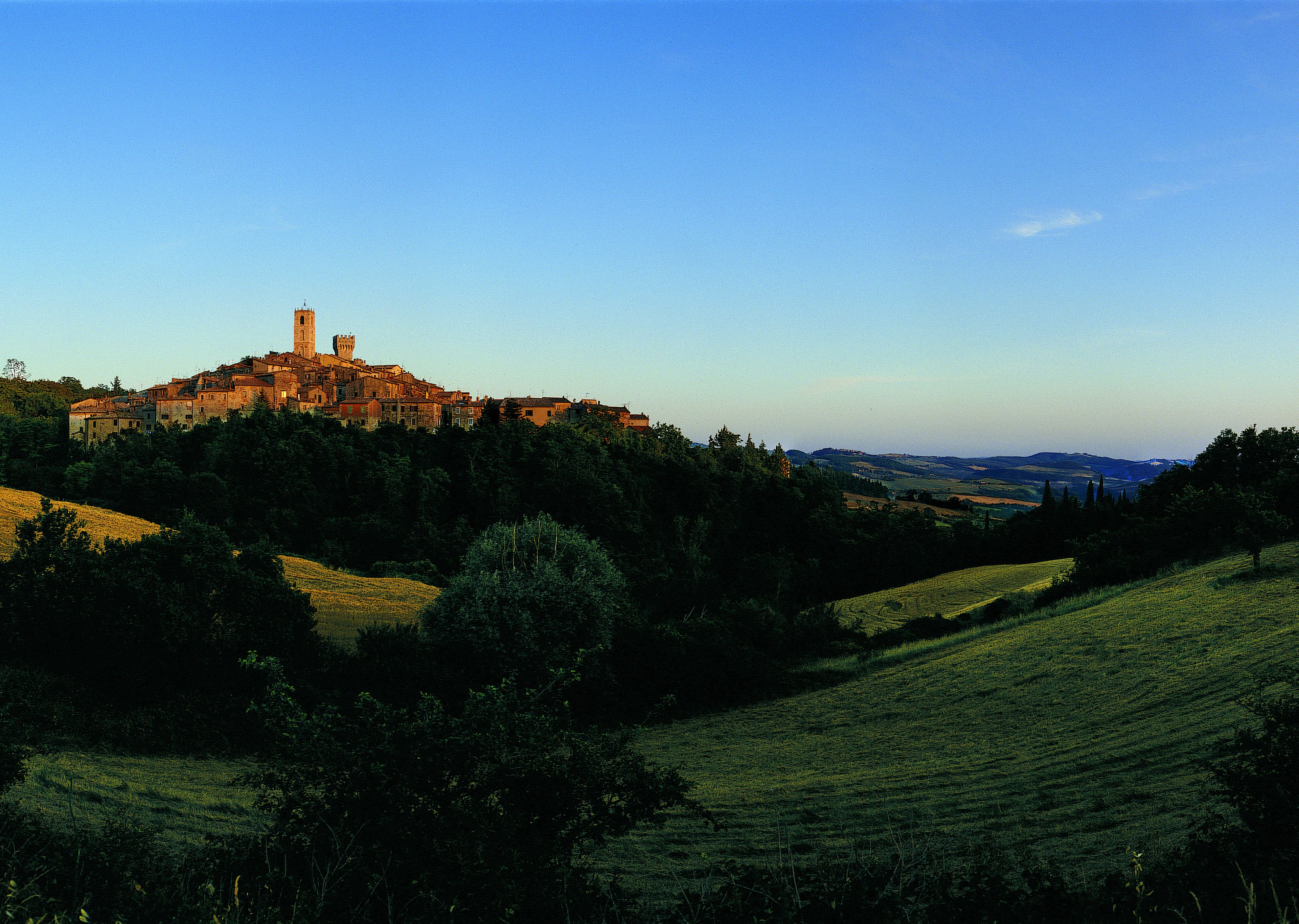 helicopter/plane tours