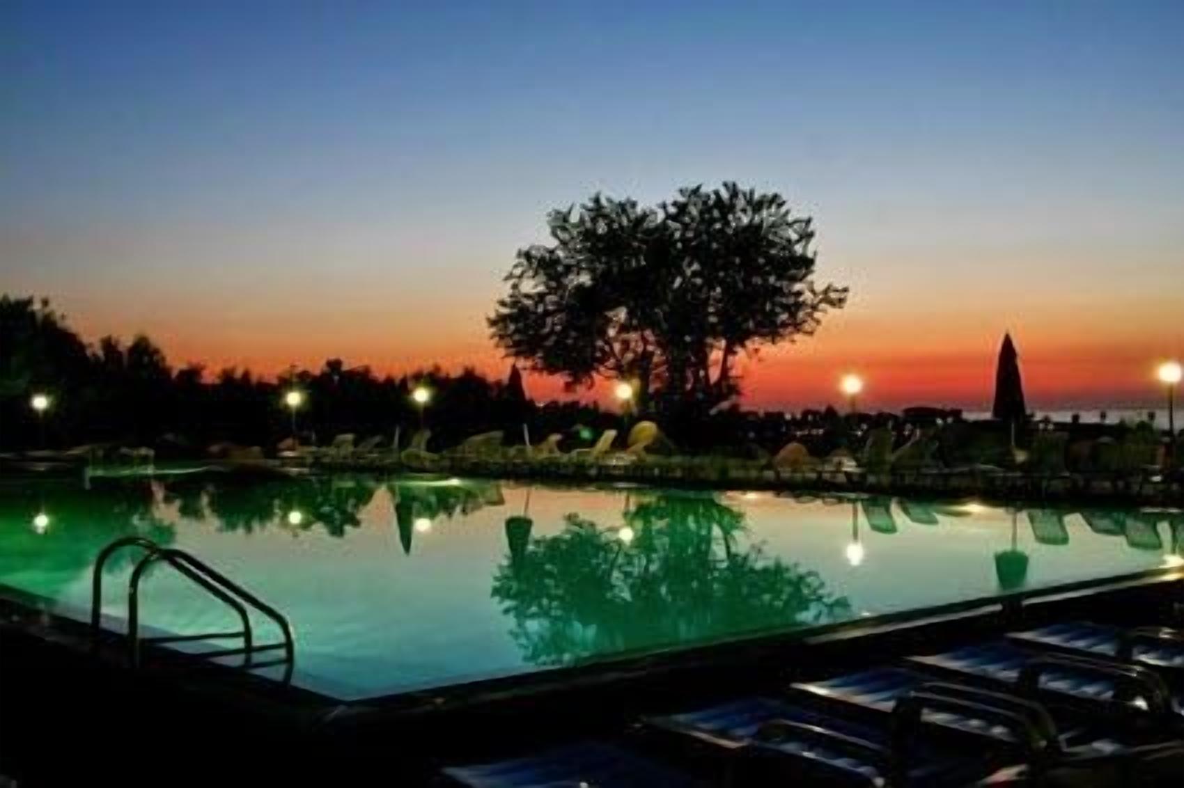 A swimming pool at dusk with lounge chairs and a tree in the background.