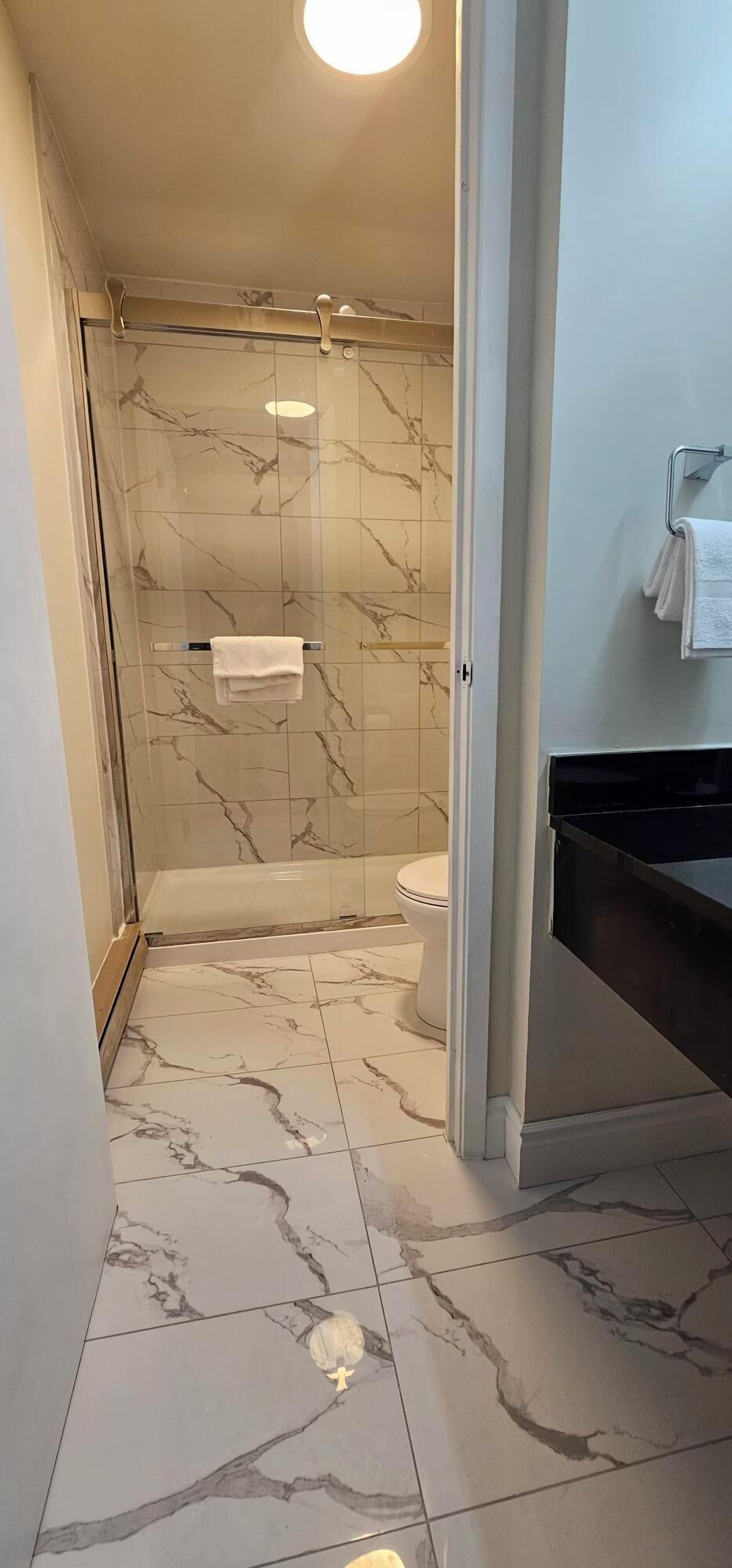 Un baño con ducha envuelta en vidrio, un inodoro y un lavamanos negro.