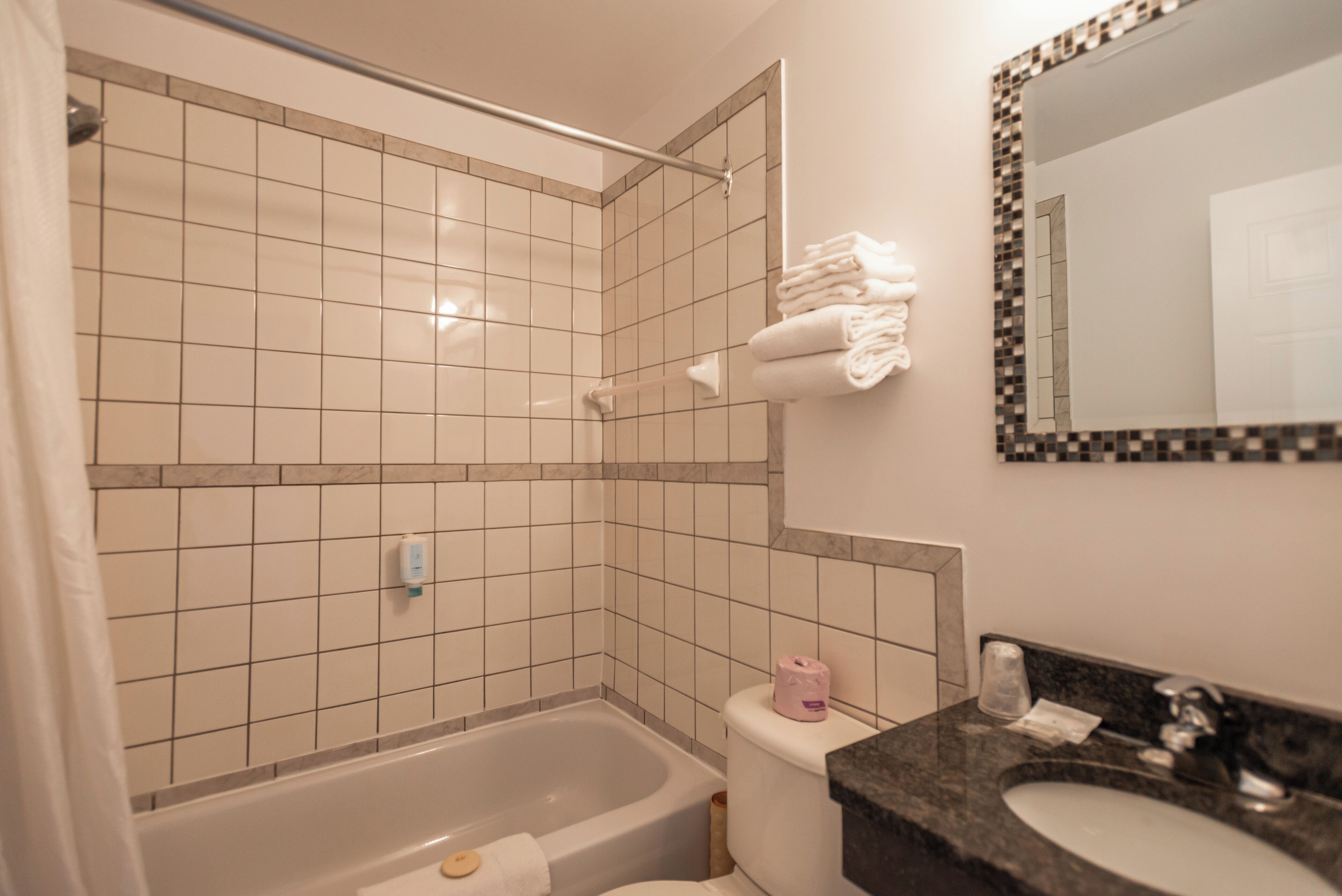 Une salle de bain avec douche, toilettes et lavabo.