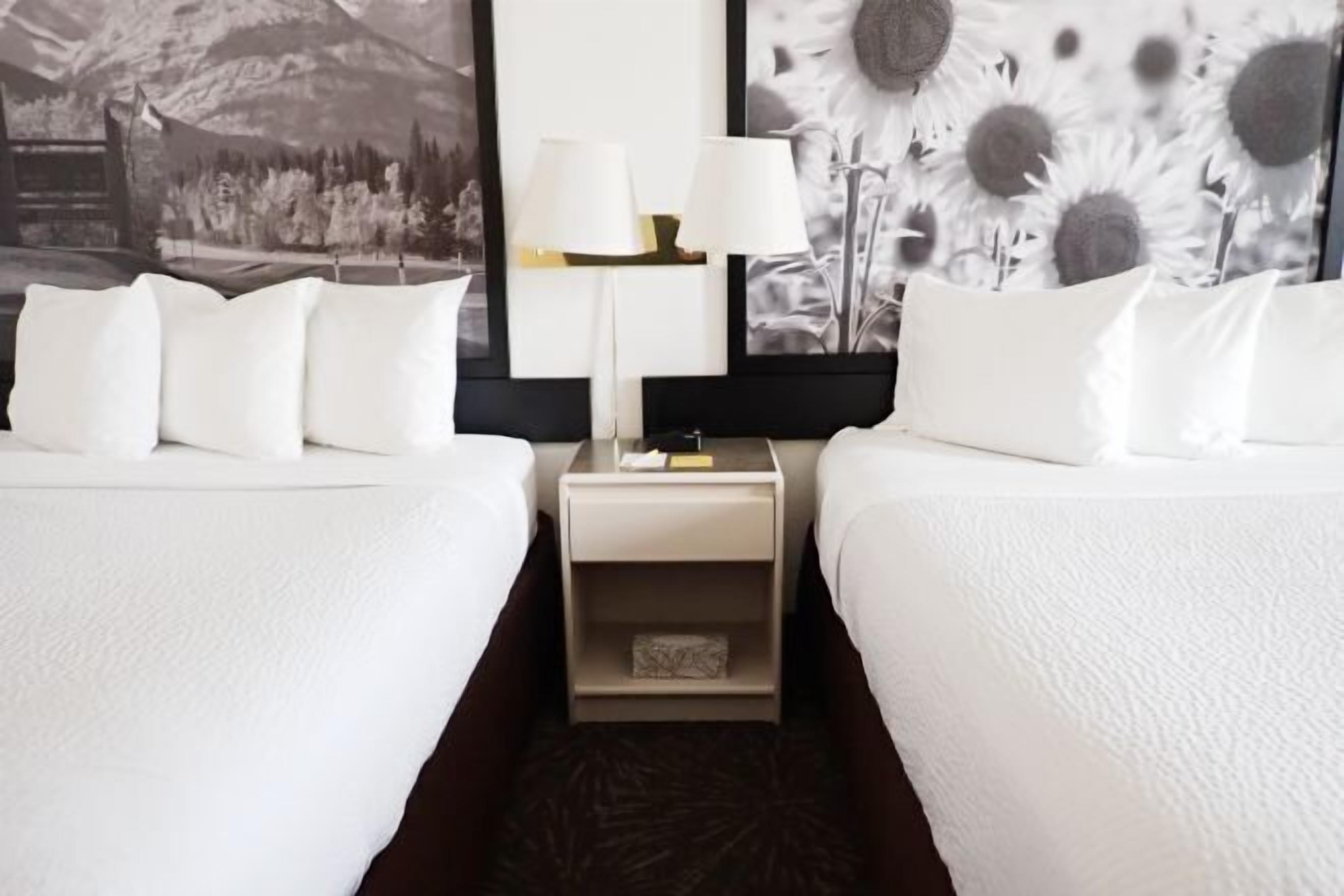 Escritorio, cortinas blackout, sistema de insonorización y cunas 