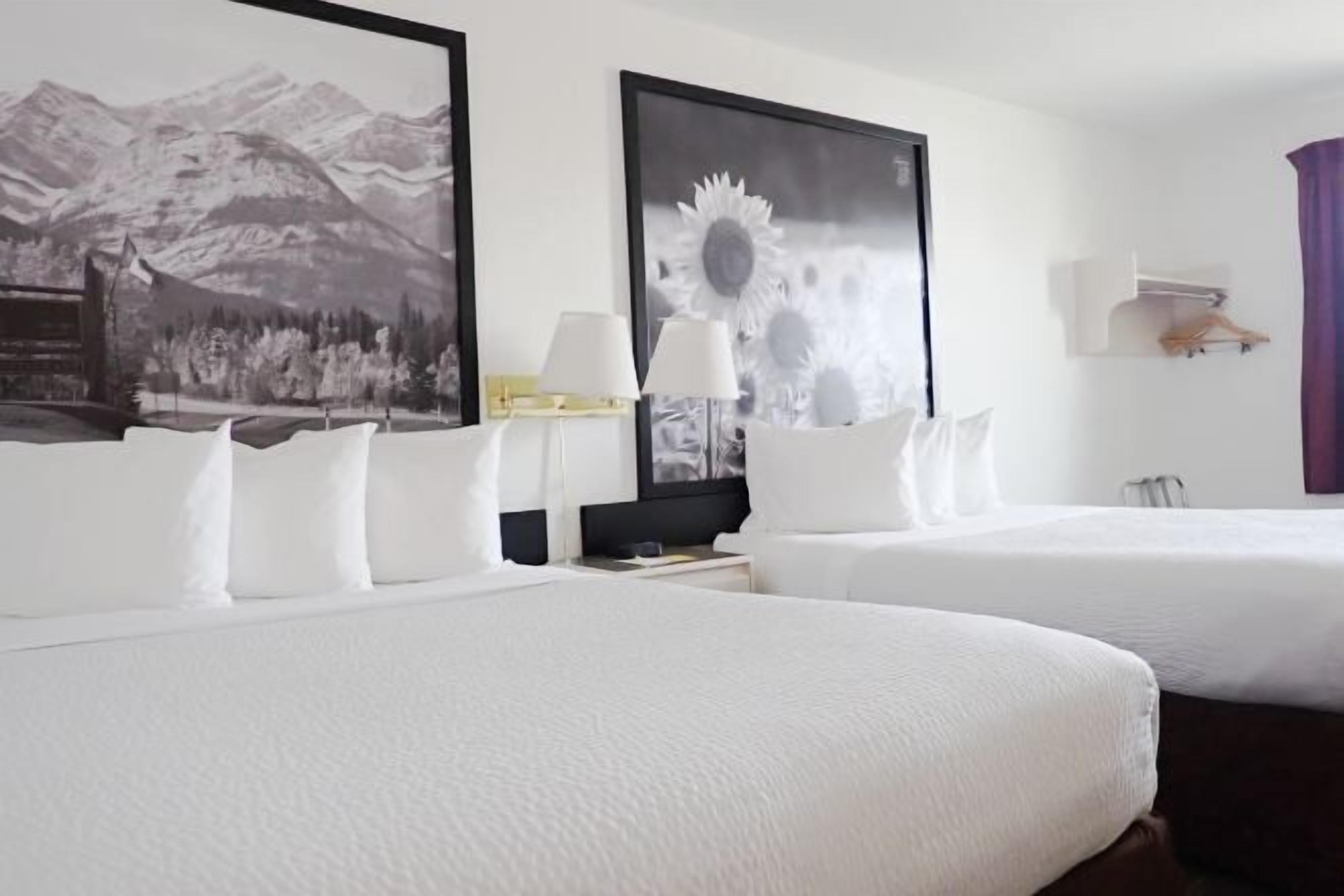 Escritorio, cortinas blackout, sistema de insonorización y cunas 