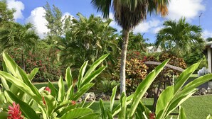 A lush garden with various tropical plants and a palm tree. - Résidence Le Vallon Guadeloupe (Saint-François)