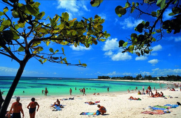 Playa en los alrededores 